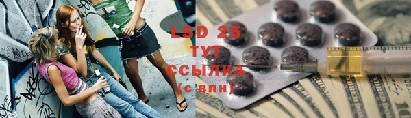 сатива Арсеньев