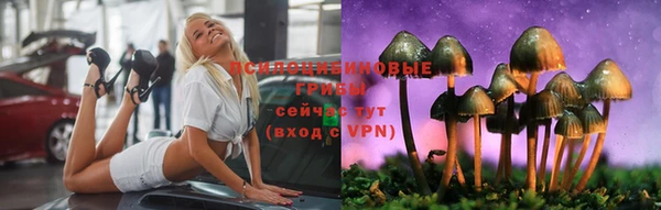 сатива Арсеньев
