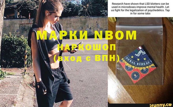PSILOCYBIN Семёнов