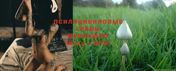 круглые Аркадак