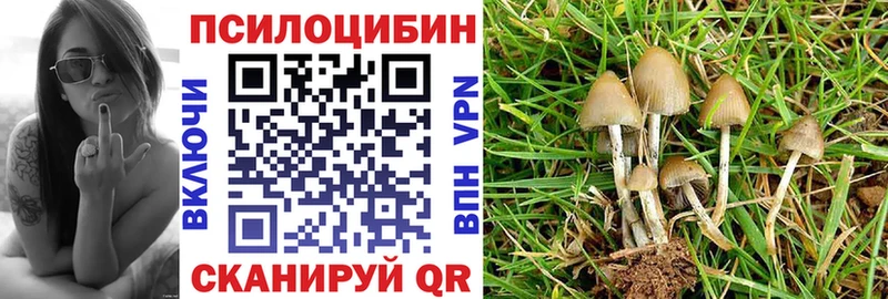 Псилоцибиновые грибы прущие грибы  Барабинск 